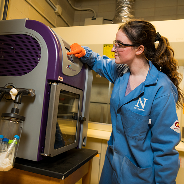 northwestern undergraduate biology research