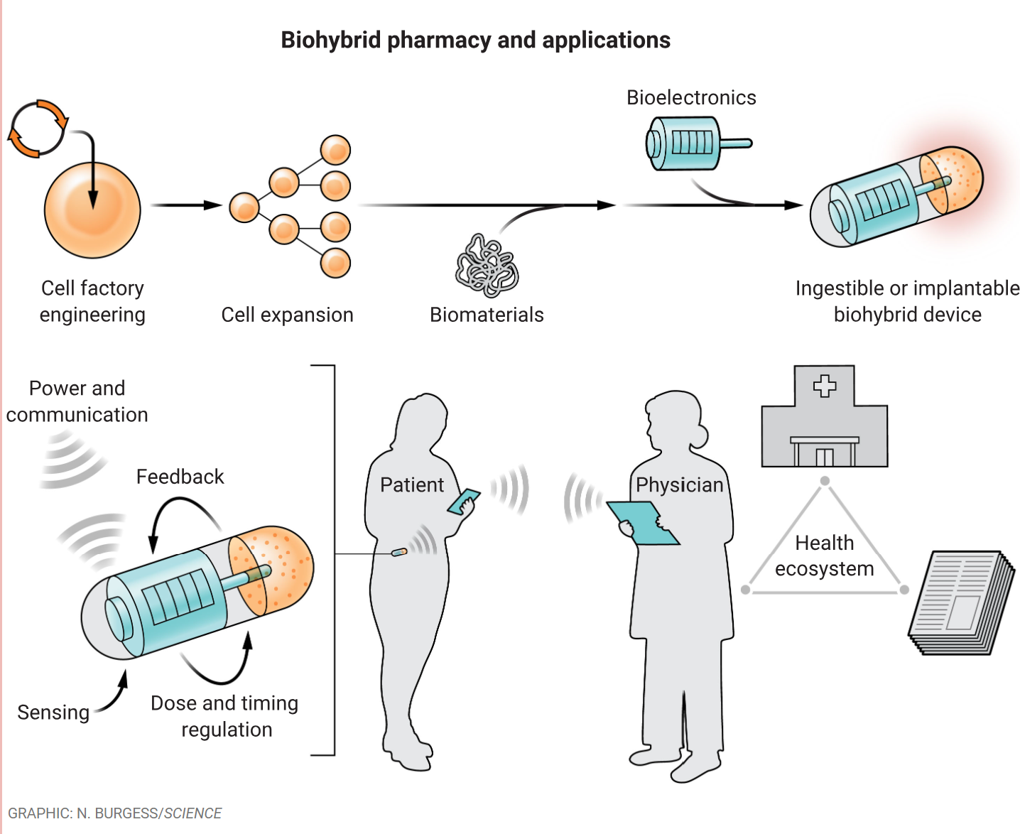 2024 Seattle Storm season visual data 4