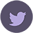 twitter icon purple 48×48
